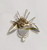 Juliana D&E Brooch Fly Bug Insect Vintage DeLizza Elster Designer Jewelry B