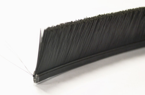 WGB01: BRUSH, STD, 1", DOOR SEAL, ROLLED, SOLD BY THE INCH