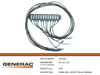 Generac 0G5544