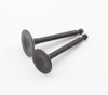 Set of Two Generac 0J35230140 Intake and Exhaust Valves