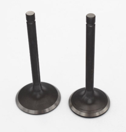 Set of 2 Generac 0J39430126 Intake & Exhaust Valves