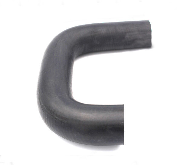 Hose Radiator Rear