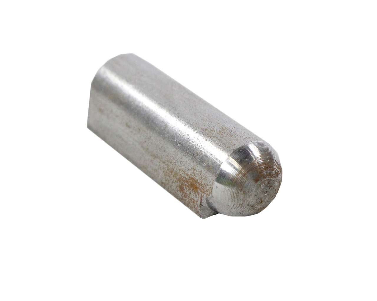 Hinge, Female