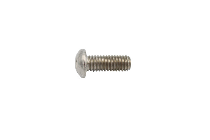 Screw Bhsc M6 1.0 X 16 Ss