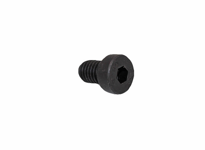 Screw Shc Low M8 1.25 X 12 G8.8