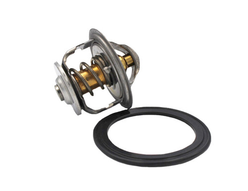 Thermostat Kit