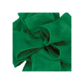 Offray Anisha Wired Edge Ribbon Forest Green