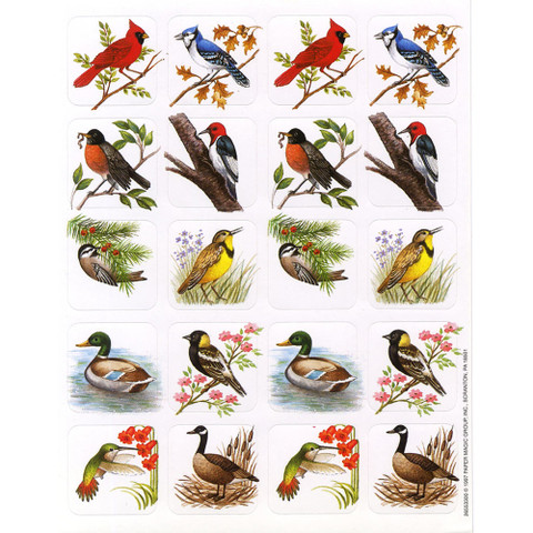 Birds Theme Stickers