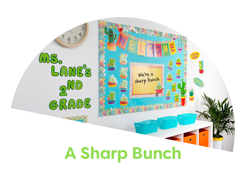Shop A Sharp Bunch collection