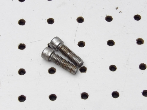 Harley-Davidson OEM 5/16x18 25mm Socket Head Bolts (2)