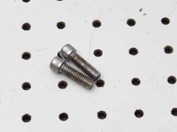 Harley-Davidson OEM 5/16x18 25mm Socket Head Bolts (2)