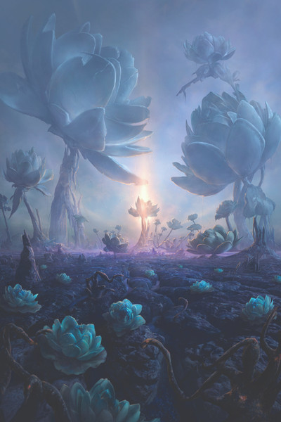 Lotus Island Aluminium Print - Limited Edition