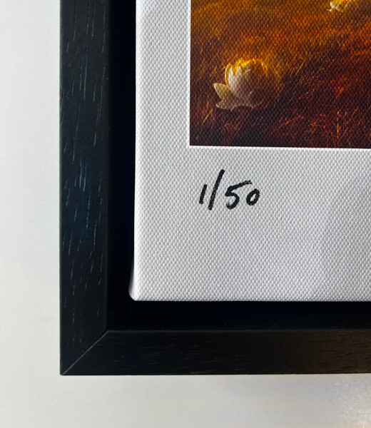 Lotus Lands Set, Framed Canvas Gallery Piece - Limited Edition