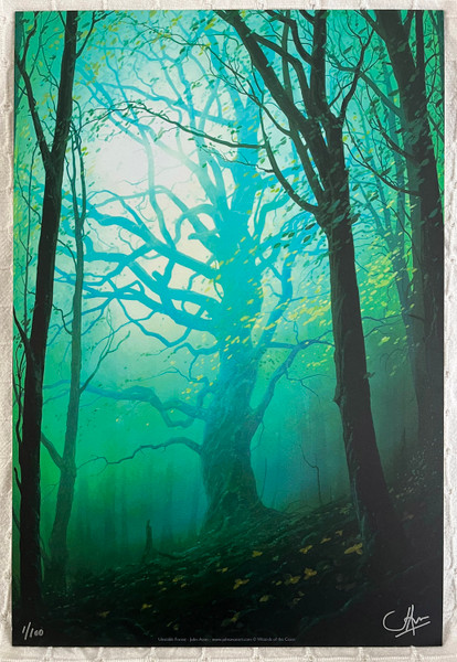 Unstable Lands Set - Limited Edition Aluminium Prints