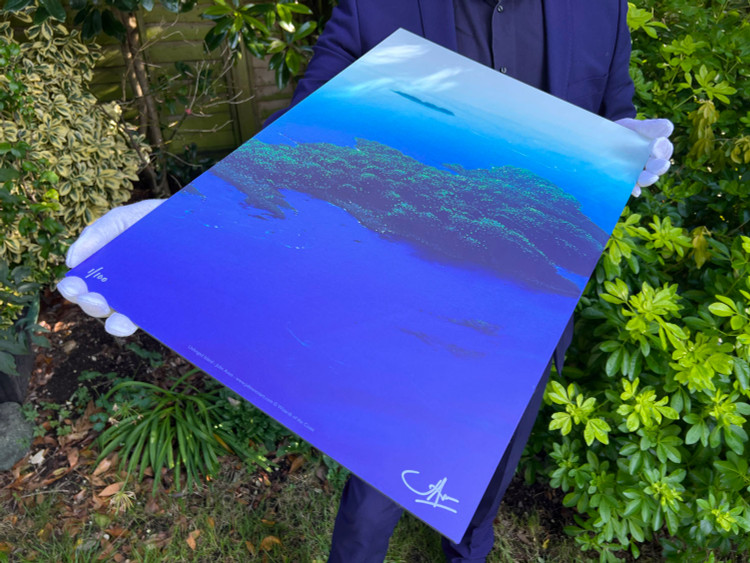 Unhinged Island Aluminium Limited Edition Print