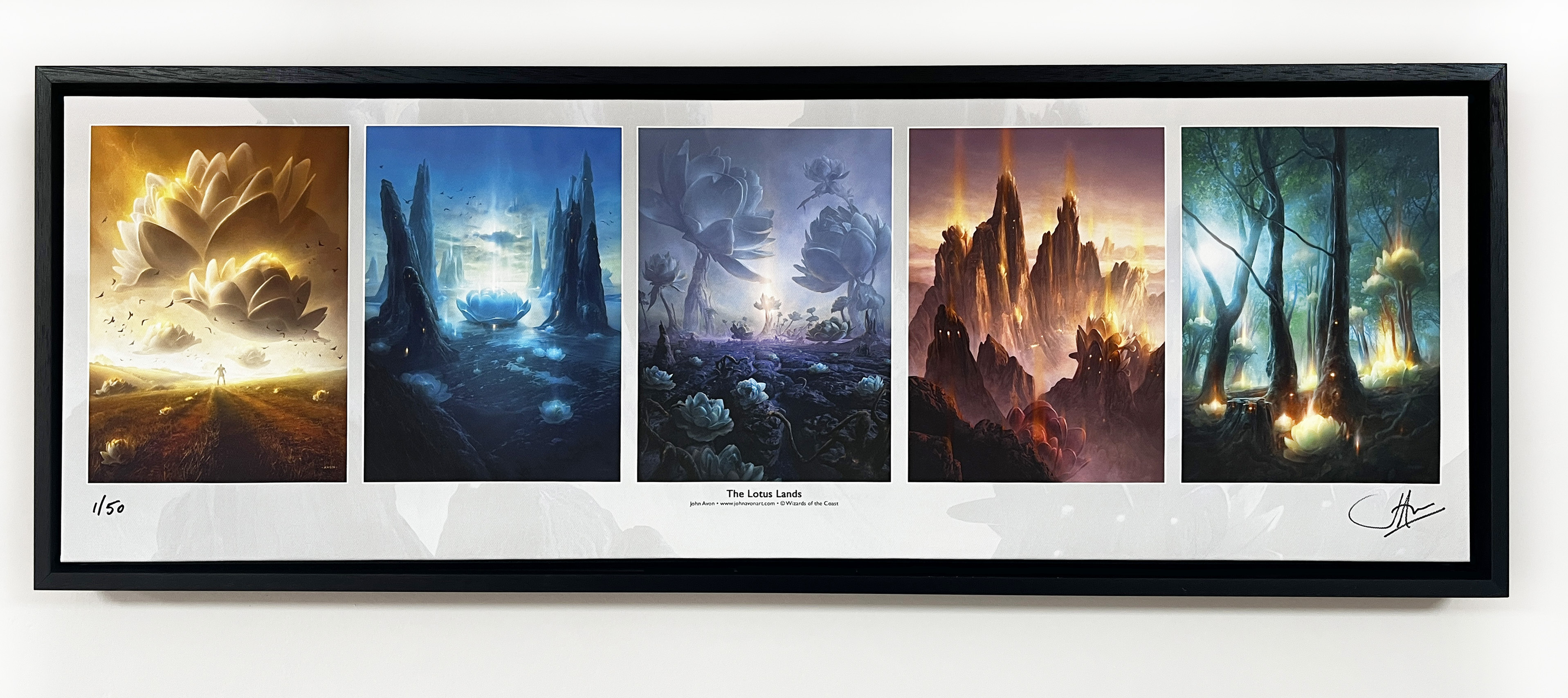 沼　４枚セット　john avon lotus land Lotus Lands Set, Framed Canvas Gallery Piece - Limited Edition