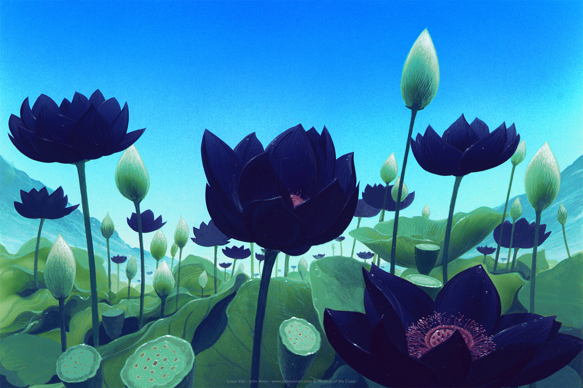 lotus-vale-jaa-6040-small.jpg?