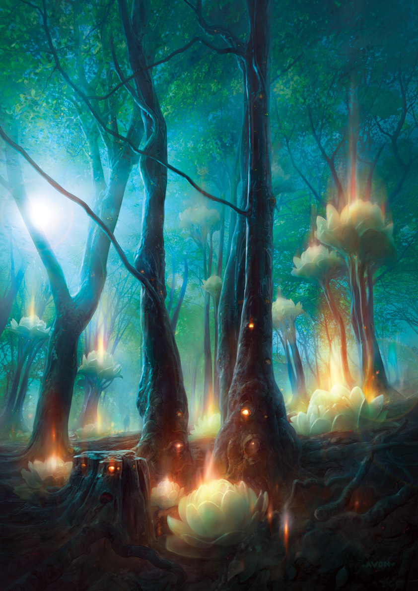 lotusforest-small-for-web.jpg?