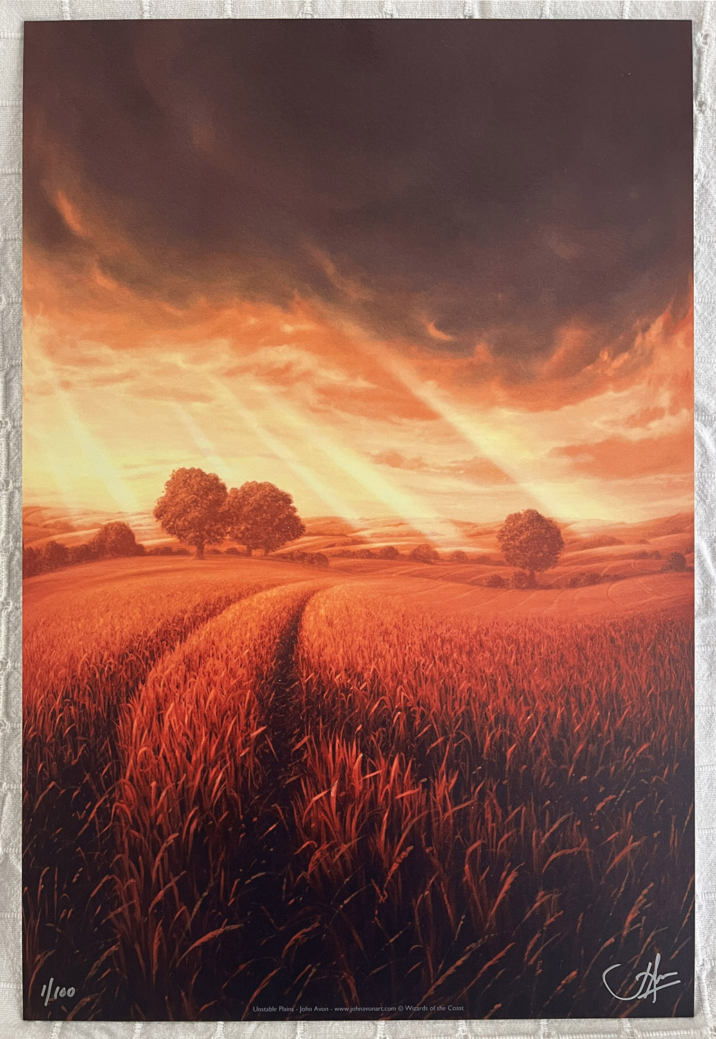 Unstable Plains - Limited Edition Aluminium Print