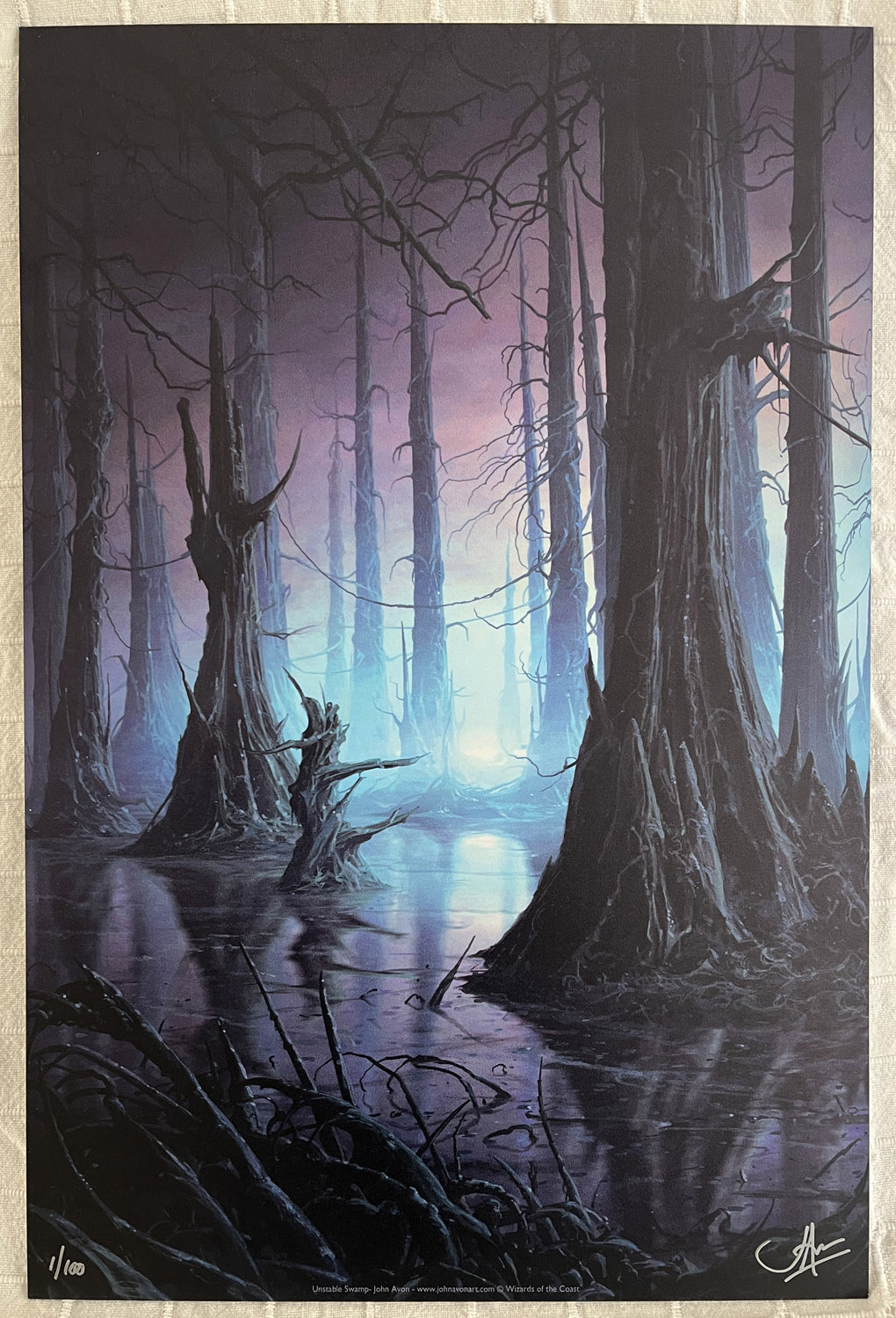 Unstable Swamp - Limited Edition Aluminium Print