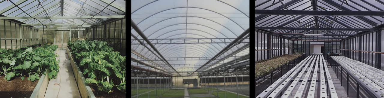 Commercial Greenhouses