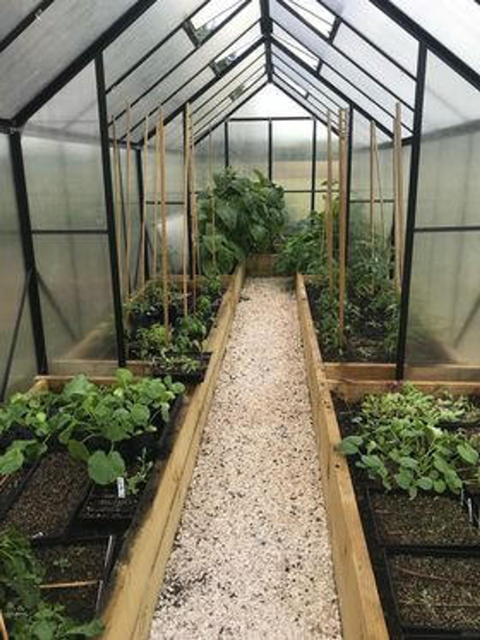 8x16ft (2.6x5.1m) Greenhouse 6mm Polycarbonate - Winter Gardenz