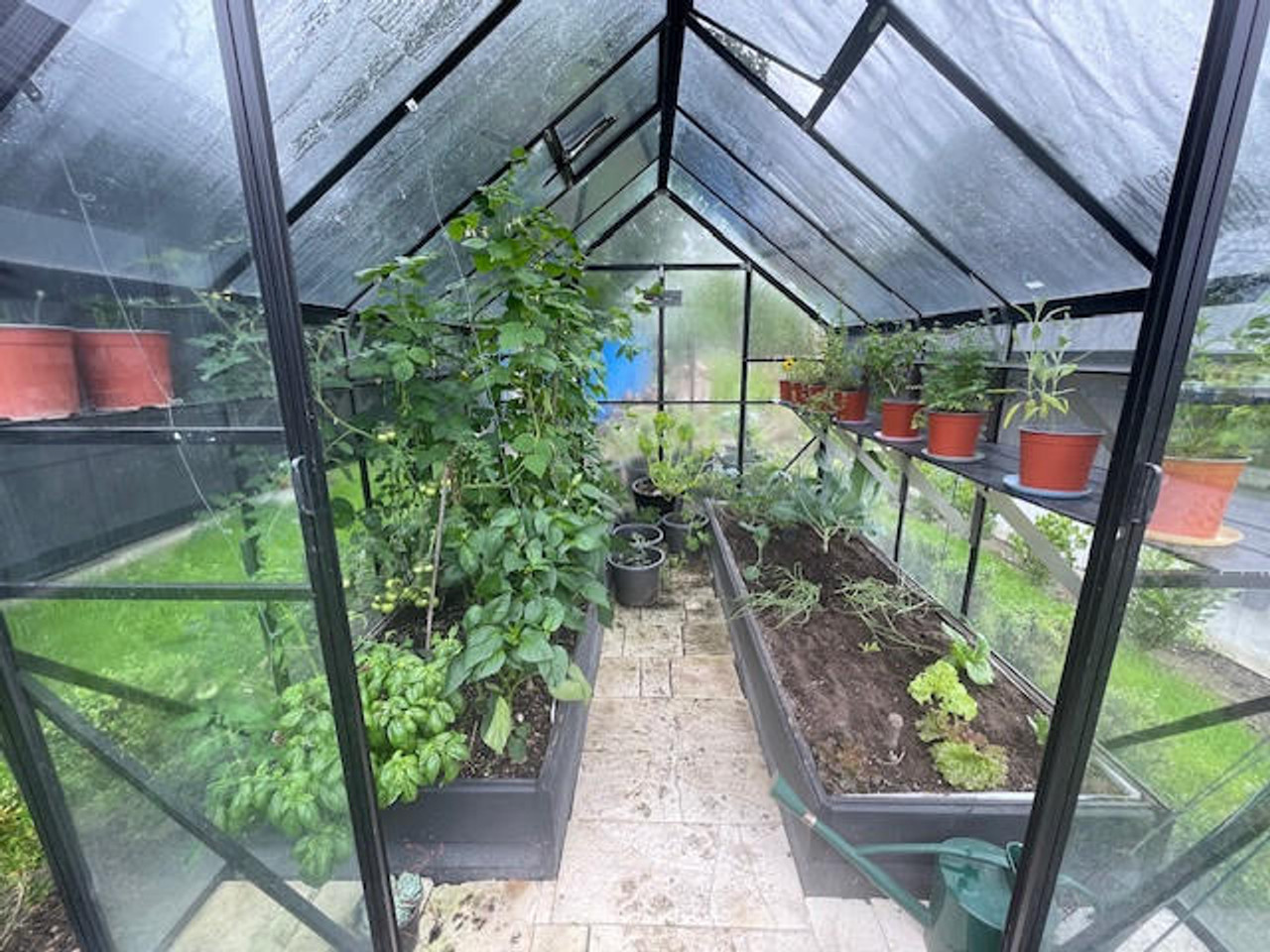 8x10ft (2.6x3.2m) Glasshouse 4mm Toughened Glass - Winter Gardenz