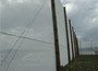 Windbreak Ultra-Pro Kiwi-Net per meter, 1m-1.83m wide