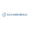Gi Gambarelli