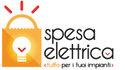 SPESA ELETTRICA