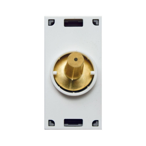 AVE444005ORO