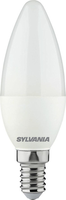 SYL0029613