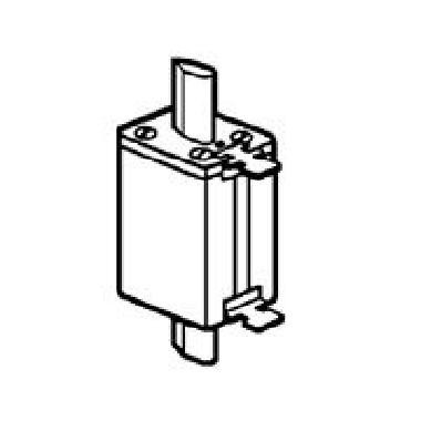 LEG016555