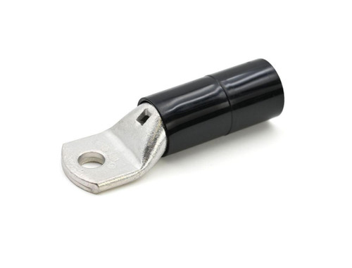 CEMANE19-M8