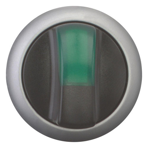 EAO216837