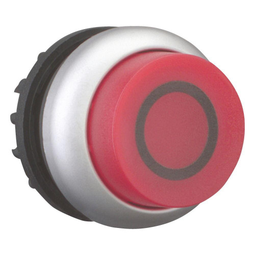 EAO216975