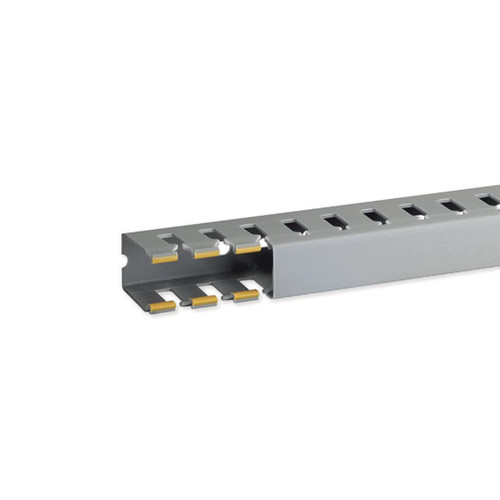IBOB02561