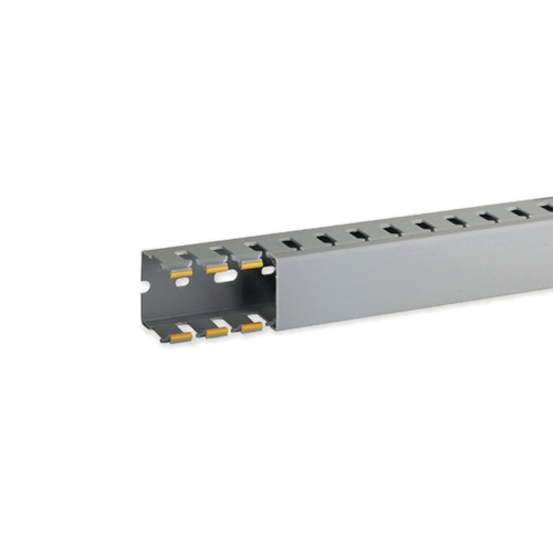 IBOB02565