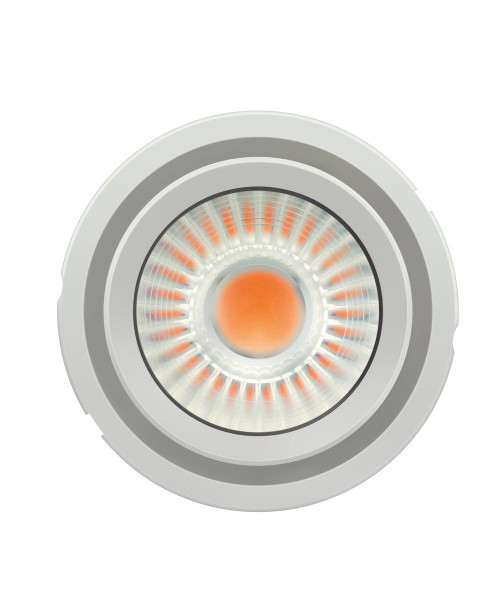 LDVPLCOB430083040G2