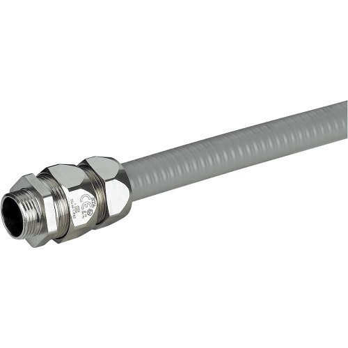 LEG381139