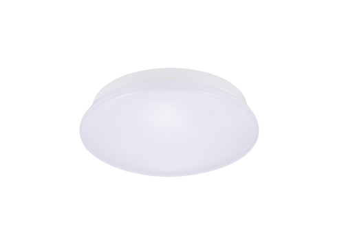 SYL0043406