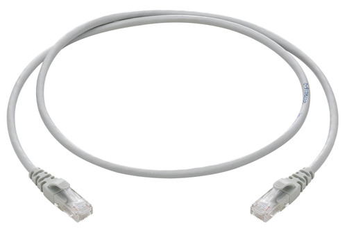 VIW03017.1