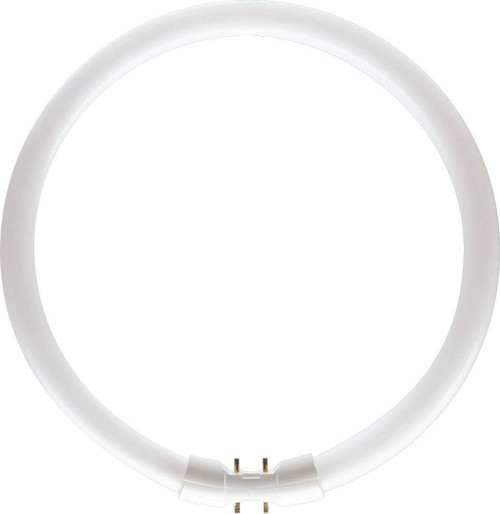 PHLTL5C6083
