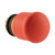 EAO216876
