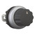 EAO279419