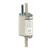 LEG016955