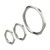 LEG386604