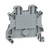 SNRNSYTRV42