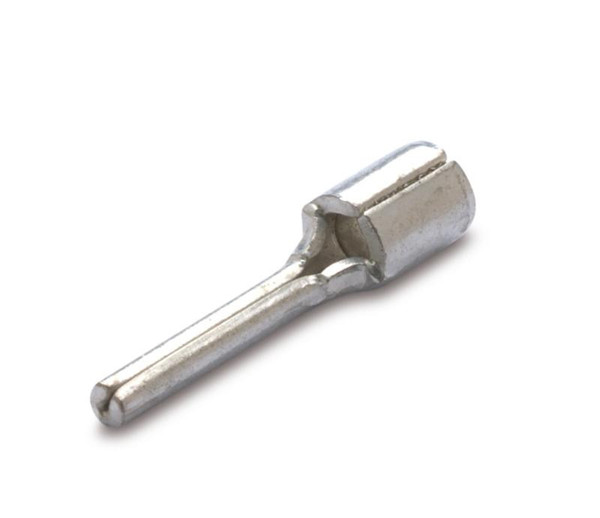 BMM01350