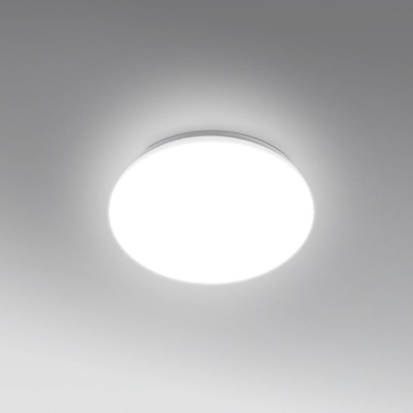 CUYBCS-243530